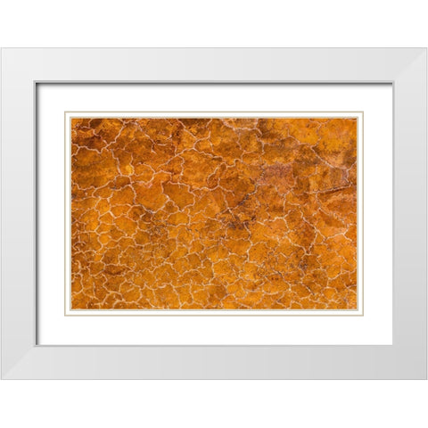 Africa-Tanzania-Aerial view of patterns of yellow algae and salt formations in shallow salt waters White Modern Wood Framed Art Print with Double Matting by Souders, Paul
