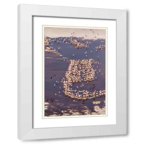 Africa-Tanzania-Aerial view of flock of Lesser Flamingos nesting among salt flats White Modern Wood Framed Art Print with Double Matting by Souders, Paul