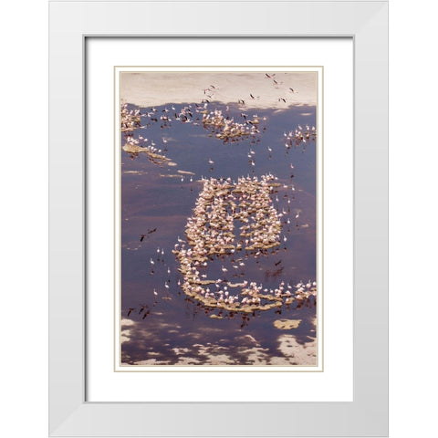 Africa-Tanzania-Aerial view of flock of Lesser Flamingos nesting among salt flats White Modern Wood Framed Art Print with Double Matting by Souders, Paul