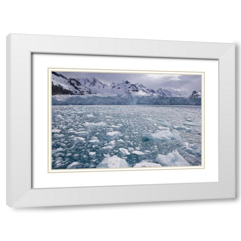 South Georgia Island, Iris Bay Herz Glacier White Modern Wood Framed Art Print with Double Matting by Paulson, Don