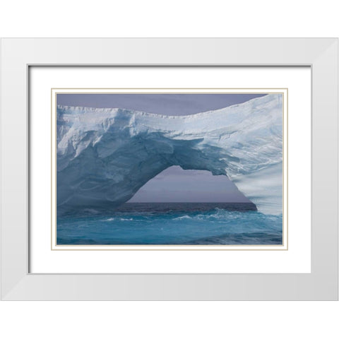 South Georgia Island, Iris Bay Iceberg bridge White Modern Wood Framed Art Print with Double Matting by Paulson, Don