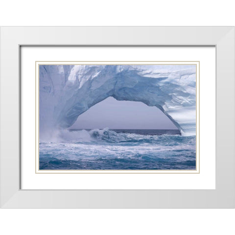 South Georgia Island Waves splash under iceberg White Modern Wood Framed Art Print with Double Matting by Paulson, Don