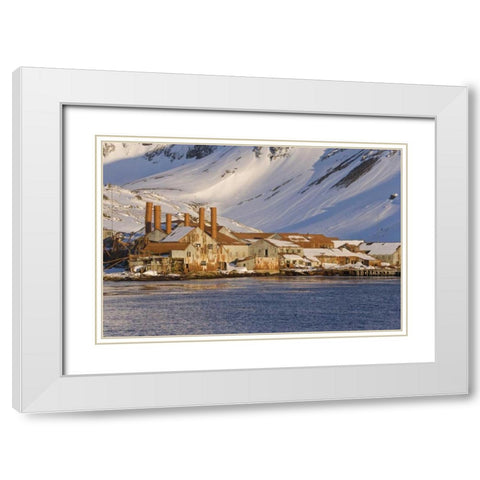 South Georgia Isl, Abandoned whaling station White Modern Wood Framed Art Print with Double Matting by Paulson, Don
