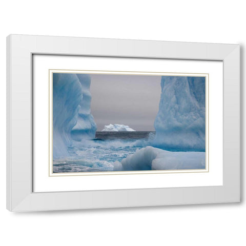 South Georgia Island Blue-tinged icebergs White Modern Wood Framed Art Print with Double Matting by Paulson, Don