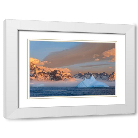 Antarctica-South Georgia Island-Coopers Bay Iceberg and mountains at sunrise  White Modern Wood Framed Art Print with Double Matting by Jaynes Gallery