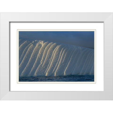 Antarctica-South Georgia Island-Coopers Bay Iceberg at sunrise  White Modern Wood Framed Art Print with Double Matting by Jaynes Gallery