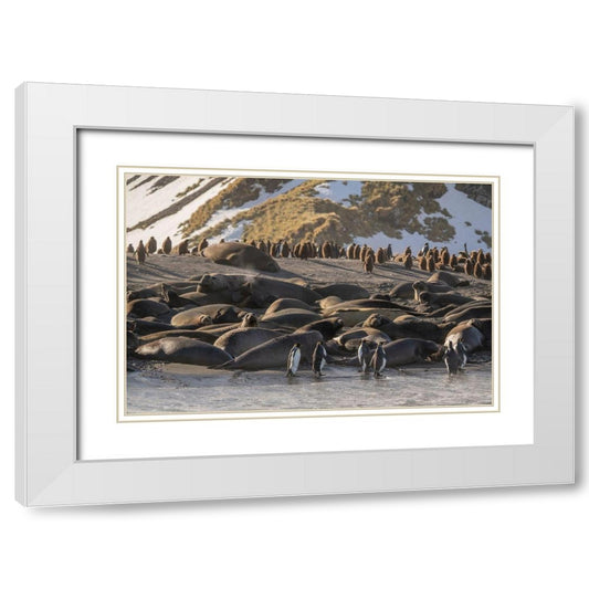 Perspective Image