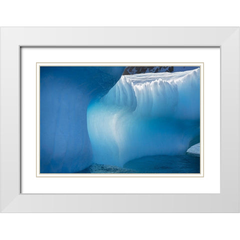Antarctica-South Georgia Island-Gold Harbor Blue iceberg close-up  White Modern Wood Framed Art Print with Double Matting by Jaynes Gallery