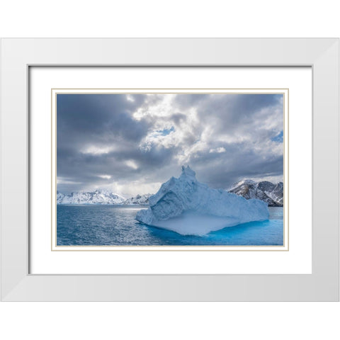Antarctica-South Georgia Island Landscape with iceberg and mountains  White Modern Wood Framed Art Print with Double Matting by Jaynes Gallery