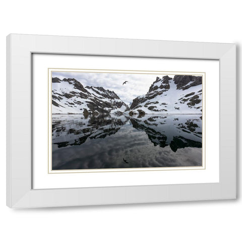 Southern Ocean-South Georgia-Larsen Harbor-Drygalski Fjord White Modern Wood Framed Art Print with Double Matting by Goff, Ellen B.