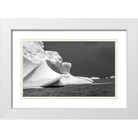 Floating blue iceberg Floating sea water Charlotte Bay-Antarctica  White Modern Wood Framed Art Print with Double Matting by Perry, William