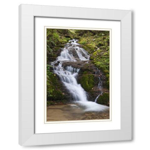 Asia, Bhutan Waterfall in central Bhutan White Modern Wood Framed Art Print with Double Matting by Kirkland, Dennis
