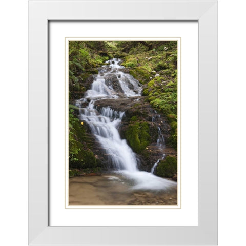 Asia, Bhutan Waterfall in central Bhutan White Modern Wood Framed Art Print with Double Matting by Kirkland, Dennis