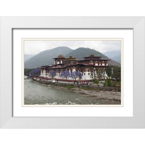 Bhutan Punakha Dzong palace with jacaranda White Modern Wood Framed Art Print with Double Matting by Kirkland, Dennis