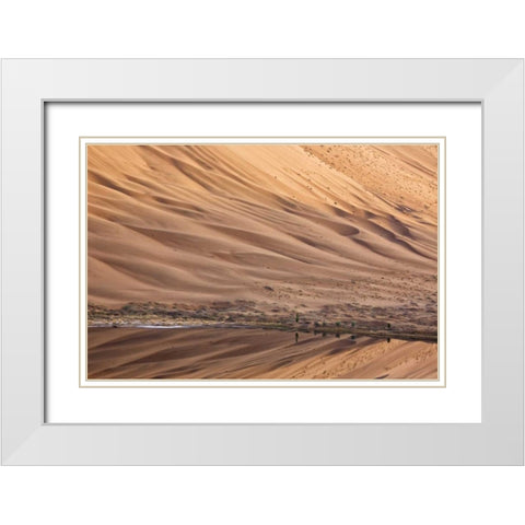 China, Badain Jaran Dune and trees by a lake White Modern Wood Framed Art Print with Double Matting by Anon, Ellen