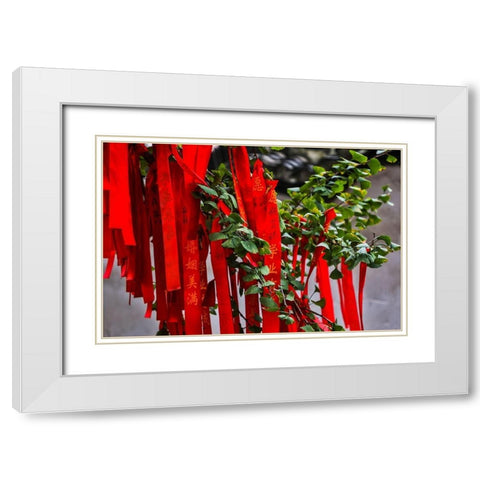Asia-China-Zhujiajiao (Venice of the East)-Red Ribbons of Wish to a Higher Power White Modern Wood Framed Art Print with Double Matting by Looney, Hollice