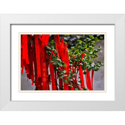 Asia-China-Zhujiajiao (Venice of the East)-Red Ribbons of Wish to a Higher Power White Modern Wood Framed Art Print with Double Matting by Looney, Hollice