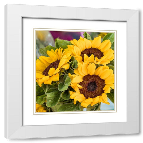 China-Hong Kong Sunflowers at a flower market White Modern Wood Framed Art Print with Double Matting by Eggers, Julie
