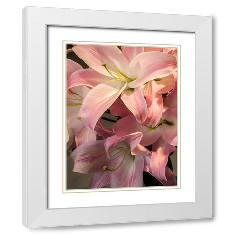 China-Hong Kong Lilies on display at a shop near the flower market White Modern Wood Framed Art Print with Double Matting by Eggers, Julie