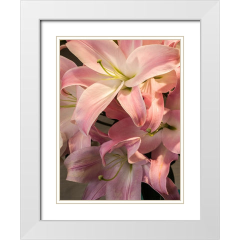 China-Hong Kong Lilies on display at a shop near the flower market White Modern Wood Framed Art Print with Double Matting by Eggers, Julie