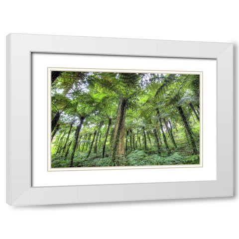 Indonesia, Bali View of vegetation in a Garden White Modern Wood Framed Art Print with Double Matting by Shimlock, Jones