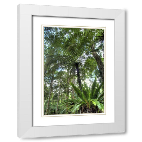 Indonesia, Bali View of vegetation in a Garden White Modern Wood Framed Art Print with Double Matting by Shimlock, Jones