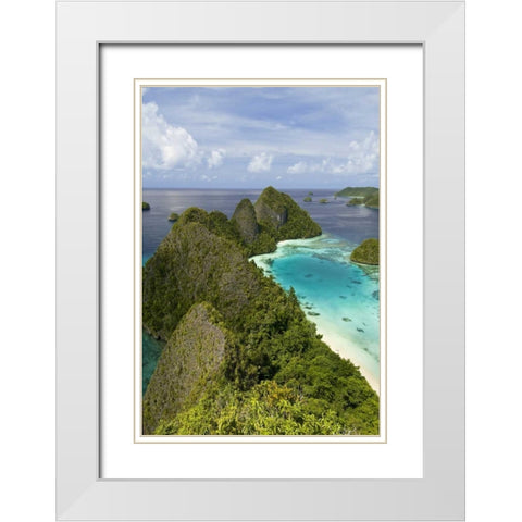 Island vegetation, New Guinea Island, Indonesia White Modern Wood Framed Art Print with Double Matting by Shimlock, Jones