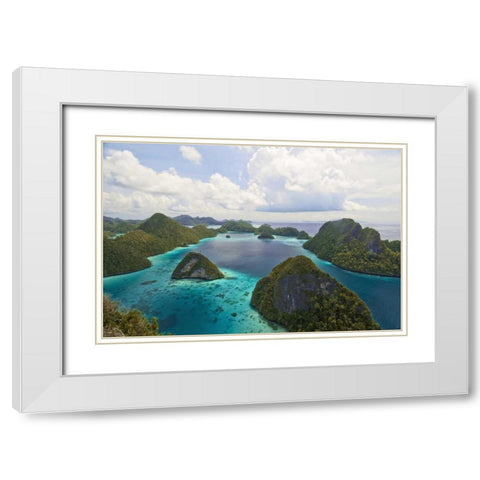 Island vegetation, New Guinea Island, Indonesia White Modern Wood Framed Art Print with Double Matting by Shimlock, Jones