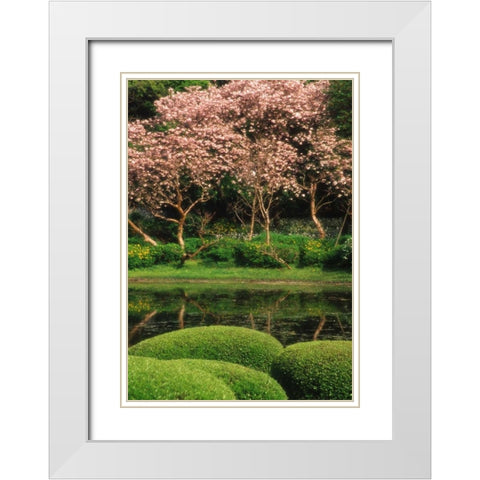 Japan, Tokyo Imperial Palace East Gardens White Modern Wood Framed Art Print with Double Matting by Ross, Nancy ,  Steve