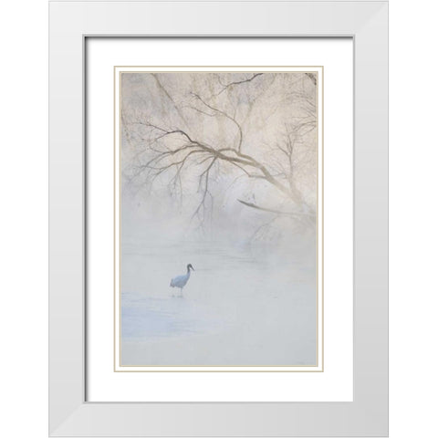 Japan, Hokkaido A hooded crane in foggy morning White Modern Wood Framed Art Print with Double Matting by Anon, Josh