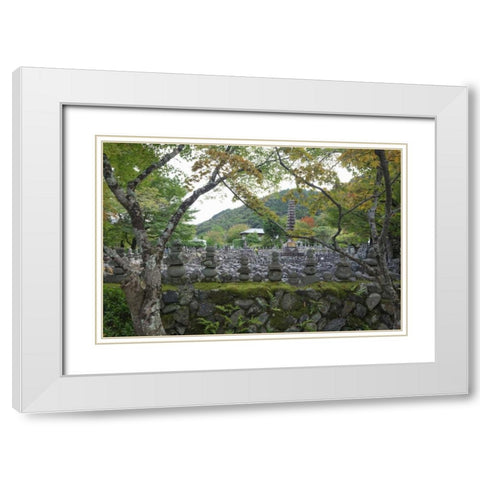 Japan, Kyoto Thousands of Buddhist statuettes White Modern Wood Framed Art Print with Double Matting by Flaherty, Dennis