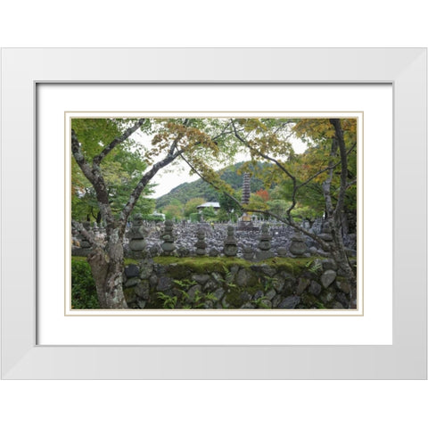 Japan, Kyoto Thousands of Buddhist statuettes White Modern Wood Framed Art Print with Double Matting by Flaherty, Dennis