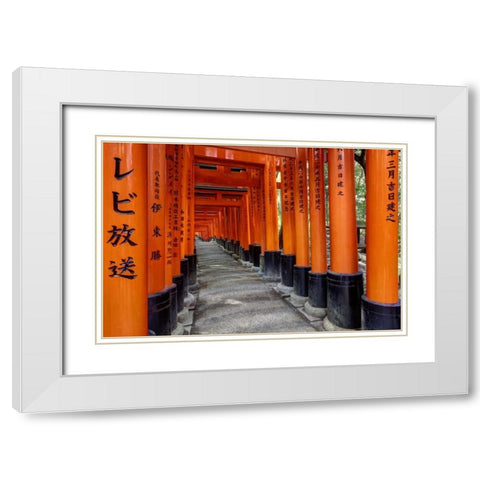 Japan, Kyoto, Fushimi-Inari-Taisha Torii Gates White Modern Wood Framed Art Print with Double Matting by Flaherty, Dennis