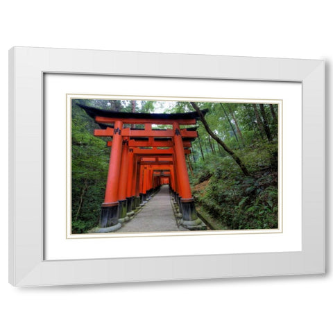 Japan, Kyoto, Fushimi-Inari-Taisha Torii Gates White Modern Wood Framed Art Print with Double Matting by Flaherty, Dennis