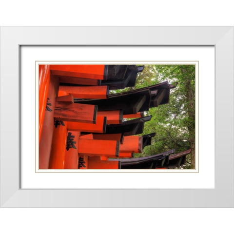 Japan, Kyoto, Fushimi-Inari-Taisha Torii Gates White Modern Wood Framed Art Print with Double Matting by Flaherty, Dennis