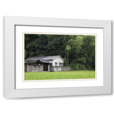 Japan, Heguri-cho Rural home next to rice field White Modern Wood Framed Art Print with Double Matting by Flaherty, Dennis