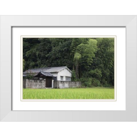 Japan, Heguri-cho Rural home next to rice field White Modern Wood Framed Art Print with Double Matting by Flaherty, Dennis