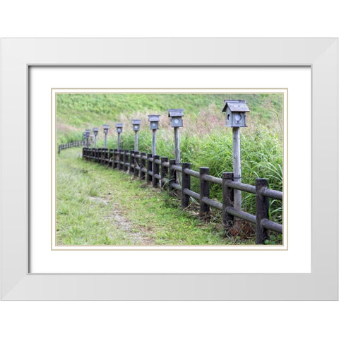 Japan, Nara Soni Plateau Wooden lanterns White Modern Wood Framed Art Print with Double Matting by Flaherty, Dennis