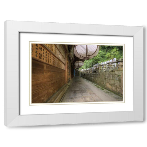 Japan, Nara, Nara Park Buddhist temple White Modern Wood Framed Art Print with Double Matting by Flaherty, Dennis