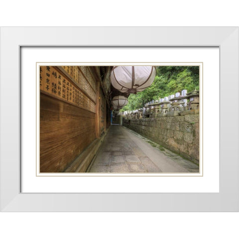 Japan, Nara, Nara Park Buddhist temple White Modern Wood Framed Art Print with Double Matting by Flaherty, Dennis