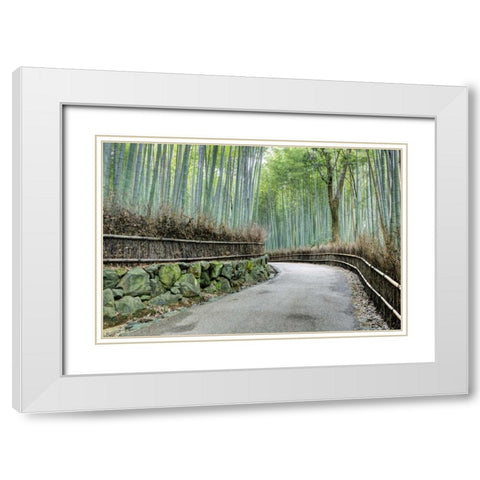 Japan, Kyoto Arashiyama Bamboo Grove White Modern Wood Framed Art Print with Double Matting by Flaherty, Dennis