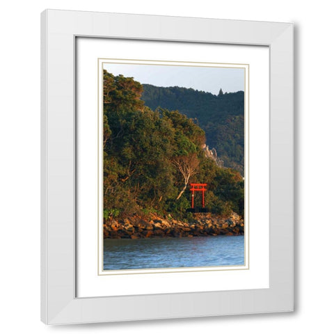 Japan, Wakagama A Torii Gate on hillside White Modern Wood Framed Art Print with Double Matting by Flaherty, Dennis