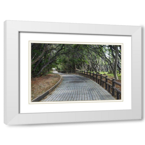 Japan, Wakagama Prefecture Brick pathway White Modern Wood Framed Art Print with Double Matting by Flaherty, Dennis