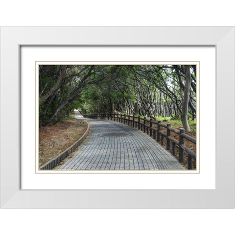 Japan, Wakagama Prefecture Brick pathway White Modern Wood Framed Art Print with Double Matting by Flaherty, Dennis