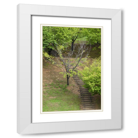 Asia, Japan, Heguri-cho Stairway in a park White Modern Wood Framed Art Print with Double Matting by Flaherty, Dennis