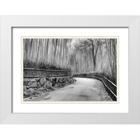 Japan, Kyoto Walkway through Arashiyama Grove White Modern Wood Framed Art Print with Double Matting by Flaherty, Dennis