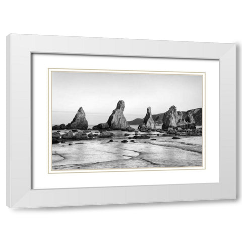 Japan, Kushimoto Hashigui-iwa Rocks on the shore White Modern Wood Framed Art Print with Double Matting by Flaherty, Dennis