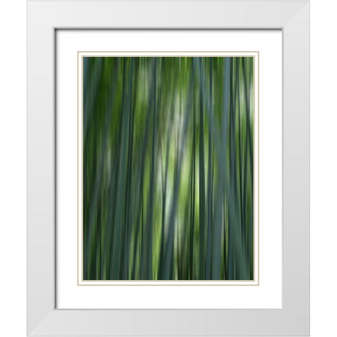Japan-Kyoto Abstract of Arashiyama Bamboo Grove White Modern Wood Framed Art Print with Double Matting by Jaynes Gallery