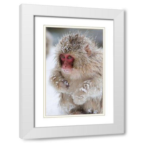 Japan-Nagano  White Modern Wood Framed Art Print with Double Matting by Goff, Ellen