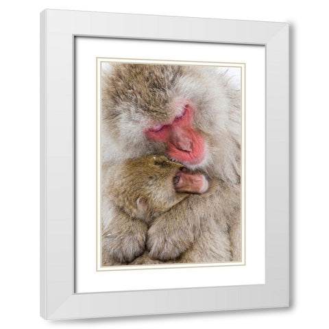 Japan-Nagano  White Modern Wood Framed Art Print with Double Matting by Goff, Ellen